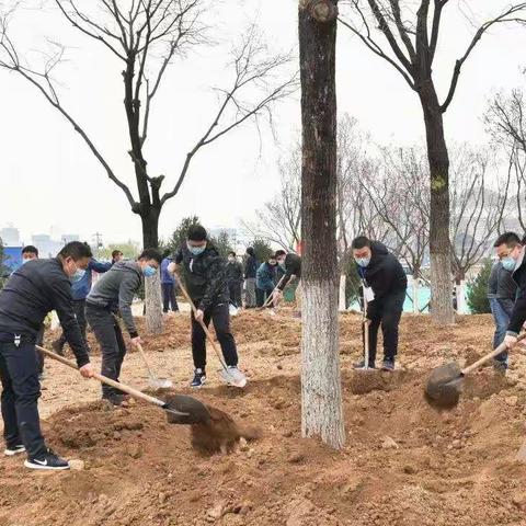 西安国际港务区组织“西安生态日”·陆港植树增绿活动