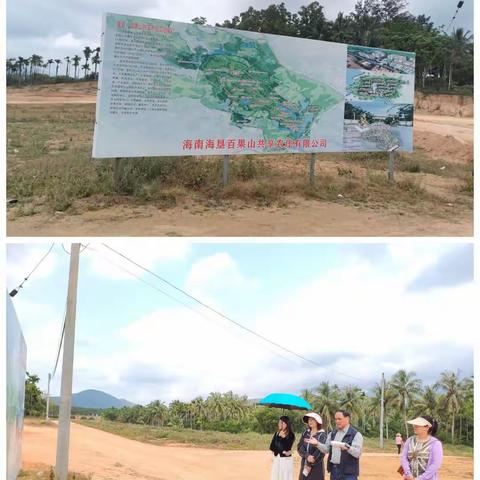 万宁市统计局调研固定资产投资项目，力促一季度开门红、开门稳