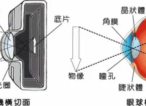 平坊中学“科学防控近视，共筑光明未来”预防近视知识讲座