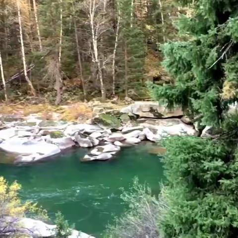 神秘美丽的可可托海和那拉提，牧羊人与养蜂女的故事让人凝望神怡，凄楚而唯美。