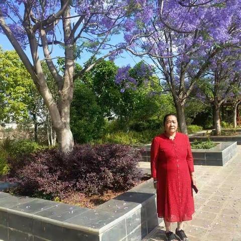 写给爱妻的第二封信