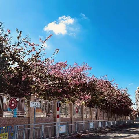 🌱以爱护航 共育花开🌱，----龙岗中心学校2022年秋季学期护苗总结