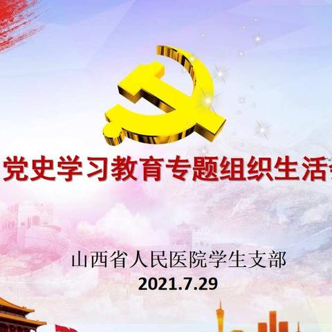 学生党支部召开党史学习教育专题组织生活会