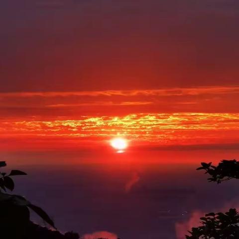 蛟峪山管护站2023年六月第三周工作小结