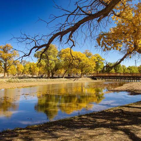 西北自驾游（上）