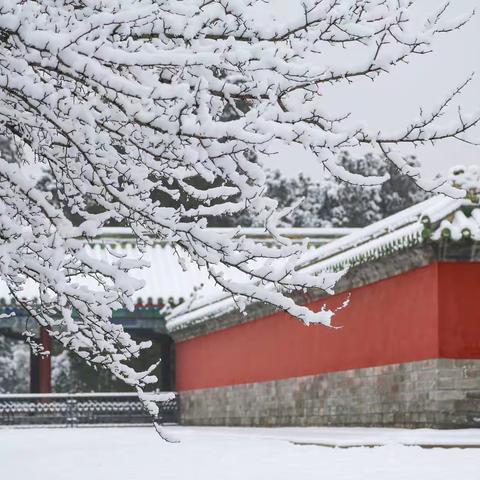 2020年1月6日北京的第一场雪-天坛