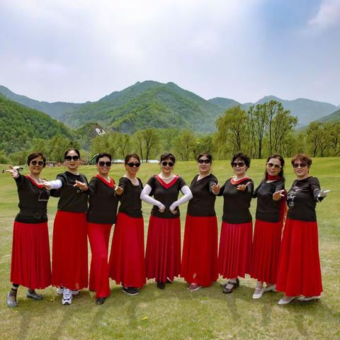 高山草甸上的翩翩起舞