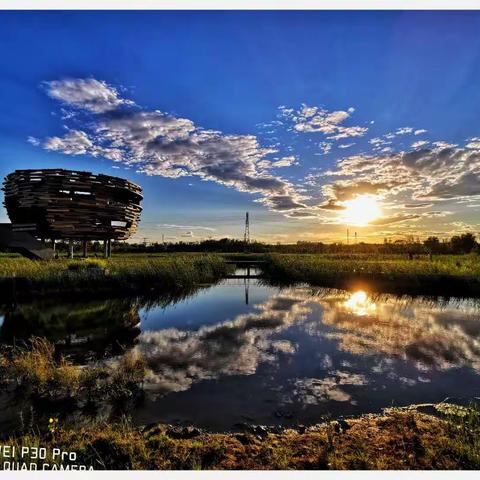 见证温榆河湿地公园