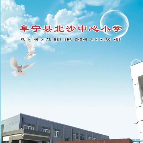 喜报——厉害了！北沙中心小学