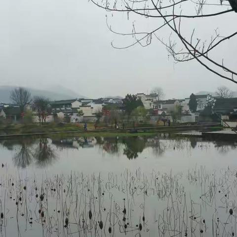 足迹（2017年上篇）