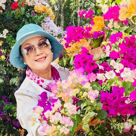 【美日一帽】 我所知道的簕杜鹃