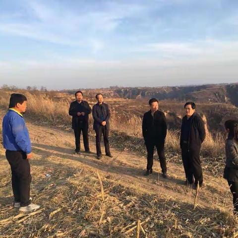 县委常委、副县长张克来我镇调研产业发展及通村路建设