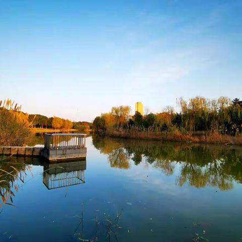 水韵东舜湖