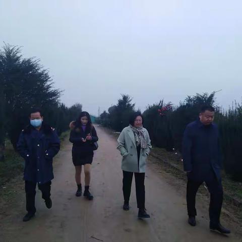 黄局长带队调研指导蓝田县国家红豆杉种植标准化示范区启动仪式筹备工作