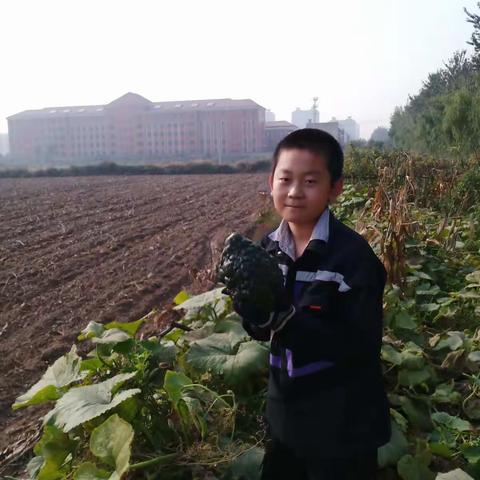 走进田园拥抱丰收