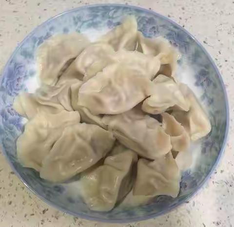 白菜肉馅饺子——余佳桐