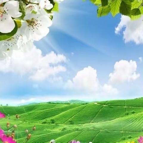 绝句一组·白云悠悠艳阳暖