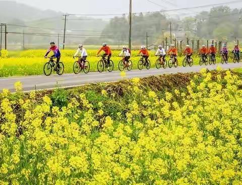 七绝一组·一路欢歌一路芳