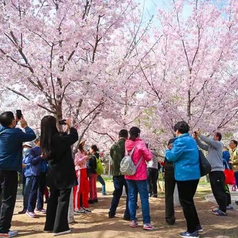 七绝组诗·借势东风万物苏