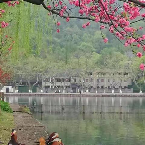 千重碧浪荡春风