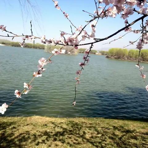 画堂春·河畔春光/秦观体（外一首）