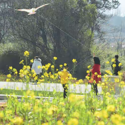 七绝一组·春光争赏笑扬眉