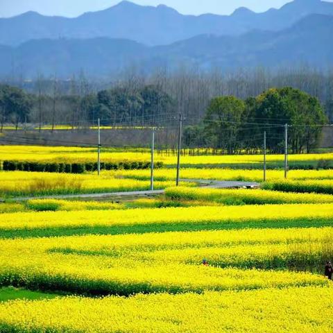 七绝组诗·人间最美艳阳天