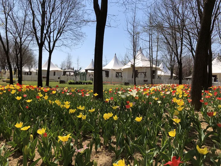 北京国际鲜花港