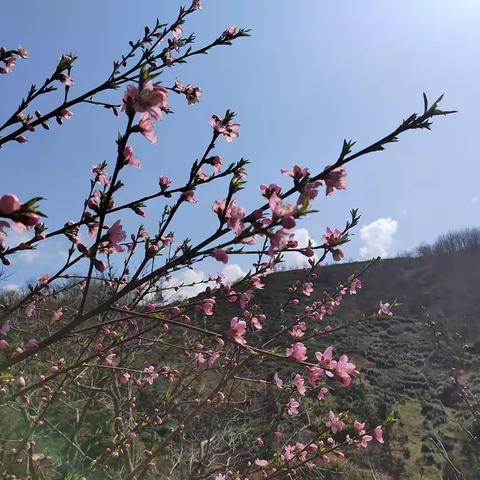 那山·那水·那人家