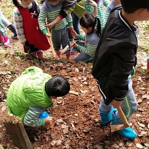 长沙幼儿园观摩4