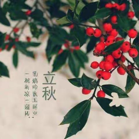 一叶梧桐一报秋，稻花田里话丰收—攀登小组第五周暑期生活分享