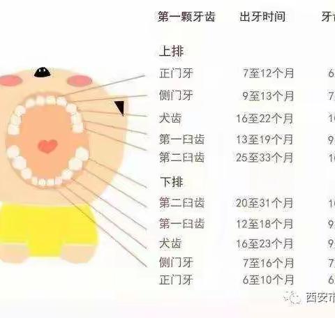 【三旺口腔】口腔健康，从乳牙保健开始