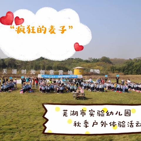 “疯狂的麦子”旅游记