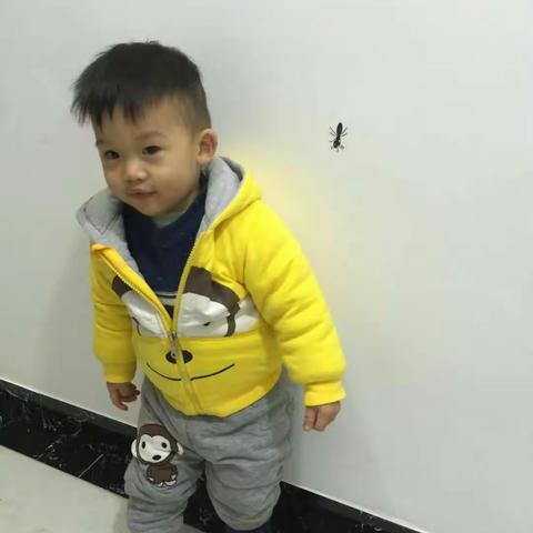 小可乐的小故事（19）