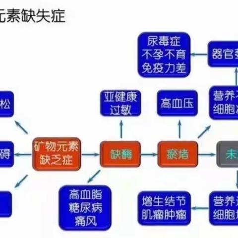 怀山药生命营养素食品是您健康基石！