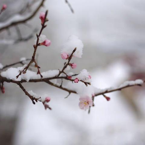 家乡暮春