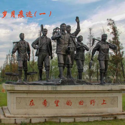 五十年岁月痕迹——铿锵玫瑰