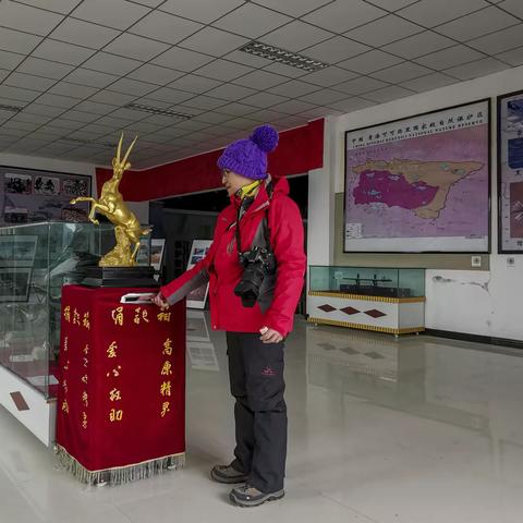 西游记——可可西里