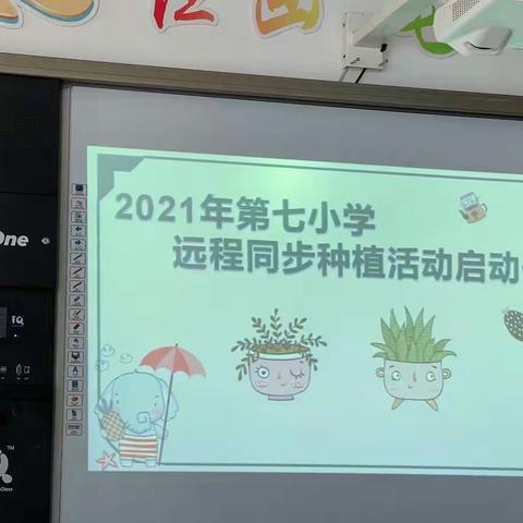 第七小学五年二班远程同步种植教育活动