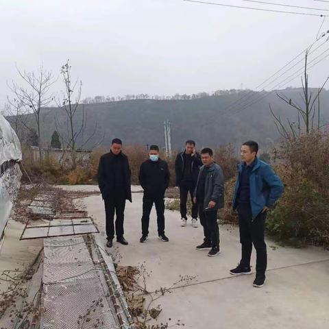 【灵宝农业】农业农村局协调朱阳镇启用扶贫大棚