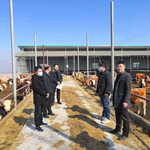 【灵宝农业】促进畜禽粪污资源利用工作动态