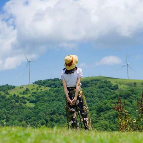 我和草原有个约会