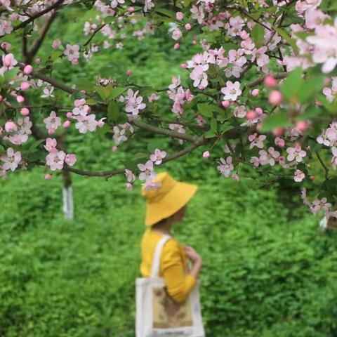 走在春天的女子