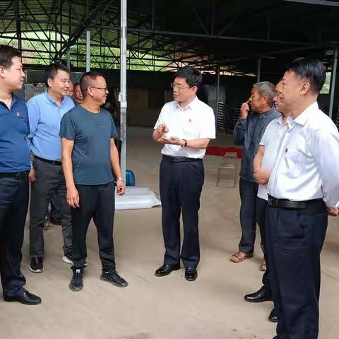 杨跃民到英豪镇吴窑头村调研产业项目发展情况