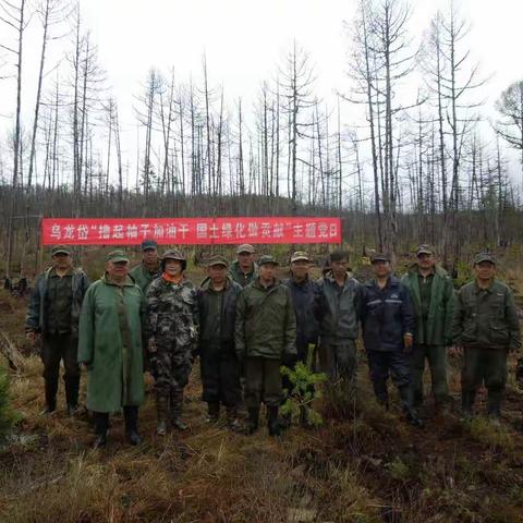 乌龙岱林场开展“撸起袖子加油干，国土绿化做贡献”主题党日活动