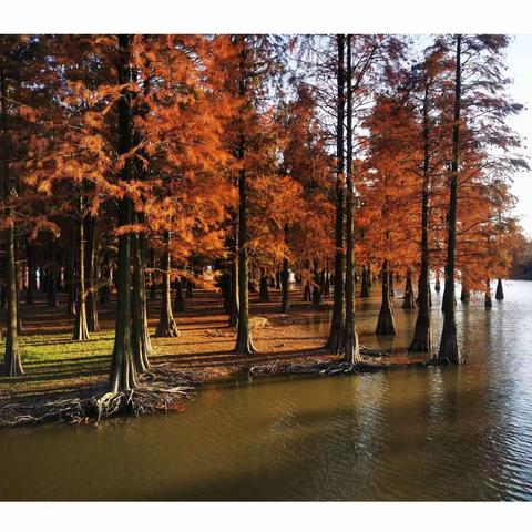 乡村迷情：漂亮的姐姐让人难忘（大结局）