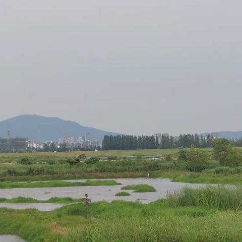 父亲节写给女儿的一封信