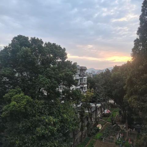 都市故事——职场游戏，不亚于山林沼泽