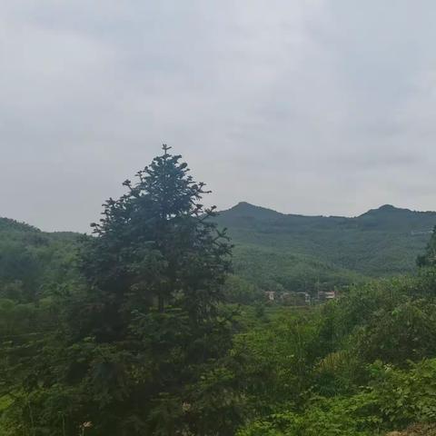 孽情下的兄弟反目成仇——婚外情的代价