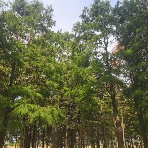 山野有忘不了的故土，城市有无处安放的灵魂。那山那情那人。